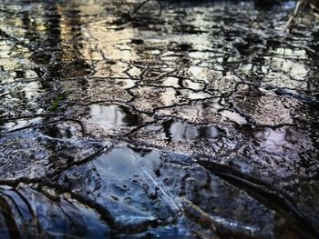 High angle view of wet puddle in winter