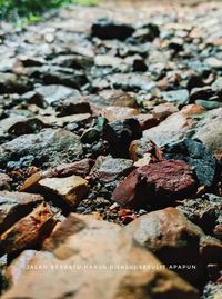 High angle view of stones on rock