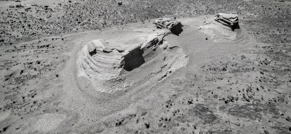 High angle view of crab on sand 