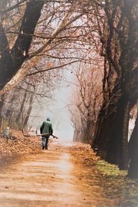 Rear view of man walking on footpath in park during autumn