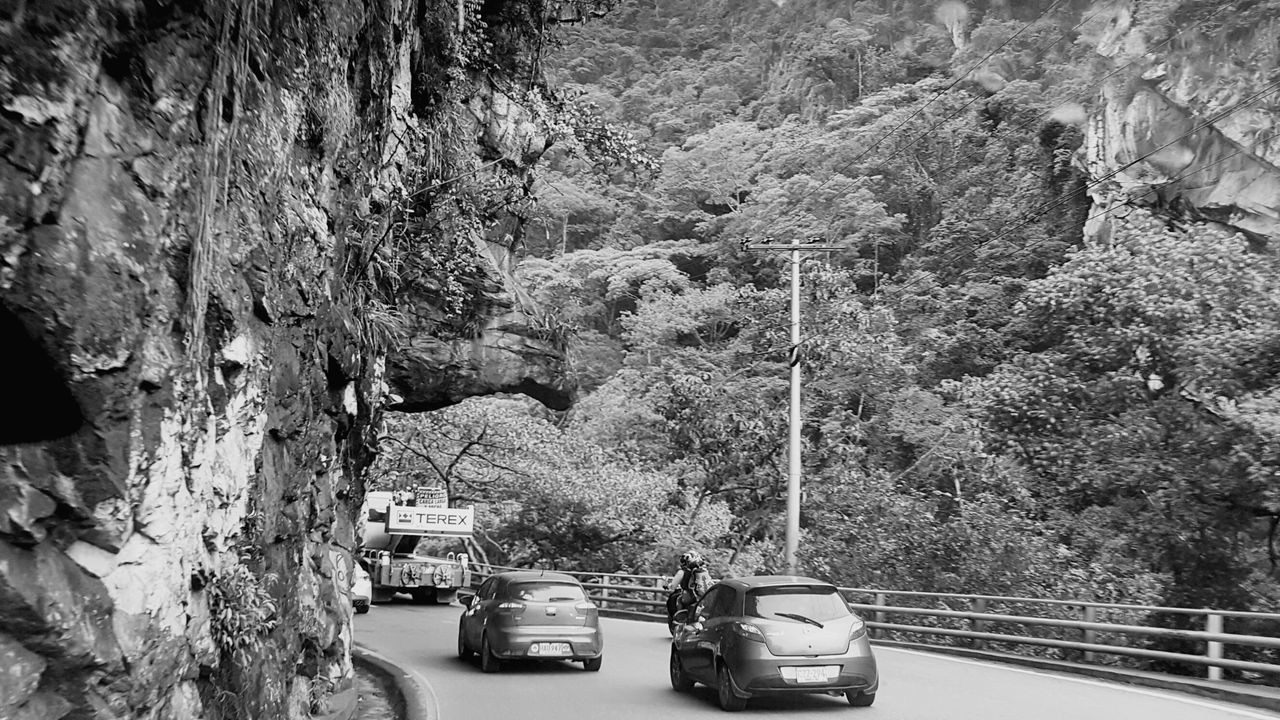 car, transportation, tree, washing, land vehicle, mode of transport, no people, day, nature, outdoors, close-up