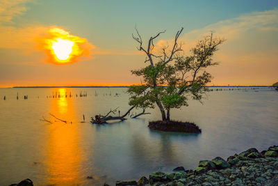 Scenic view of sea against orange sky