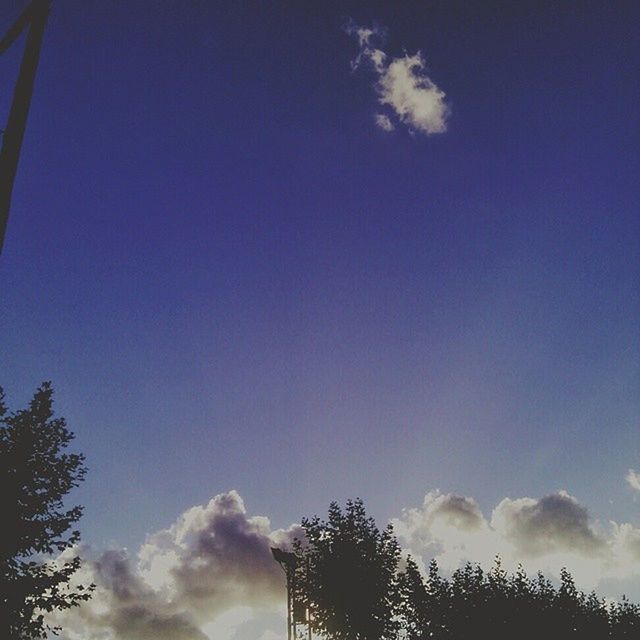 low angle view, sky, tree, blue, cloud - sky, silhouette, high section, nature, beauty in nature, cloud, treetop, tranquility, growth, outdoors, no people, scenics, day, cloudy, built structure, sunlight