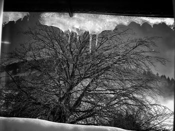 Bare tree against sky during winter