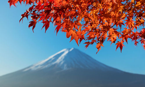 Low angle view of mountain against clear sky during autumn