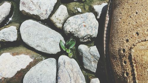 Close-up of rocks in water