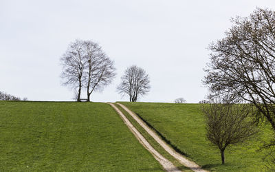 Trees on field against clear sky