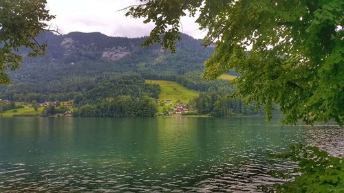 Scenic view of lake by trees against sky