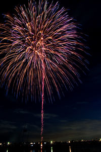 Low angle view of firework display at night