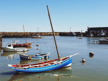 Boats moored in harbor