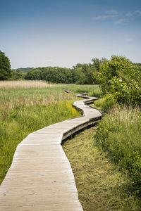 Footpath leading towards trees on field against sky