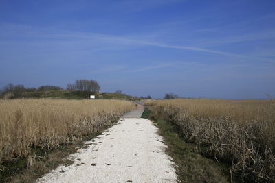 Dirt road amidst field against sky
