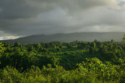 Scenic view of landscape against sky