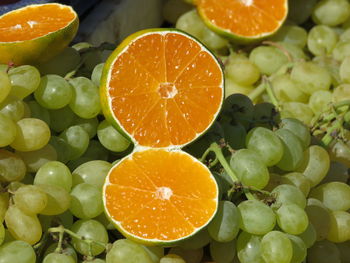 Close-up of orange fruits