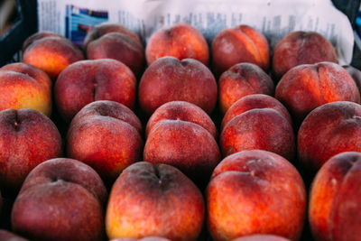 Bright juicy red peaches on a farmer's market stall