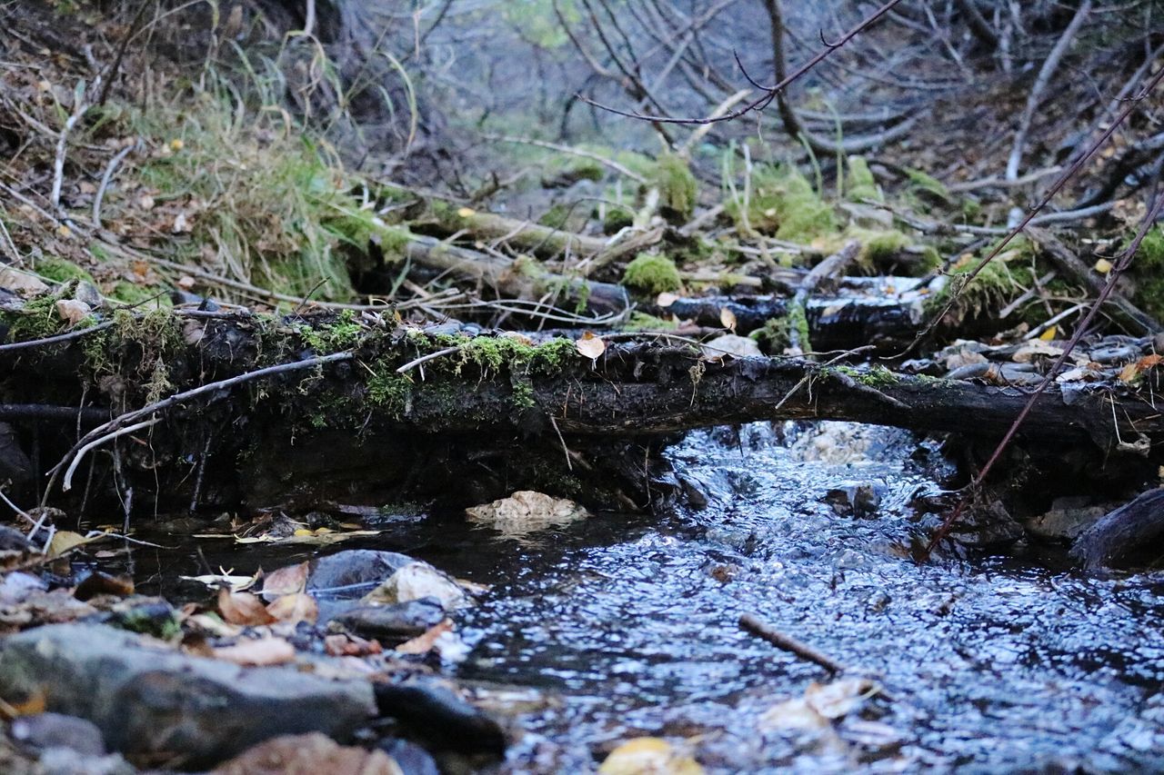 Fall hikes