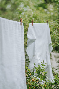 Clothes drying on clothesline