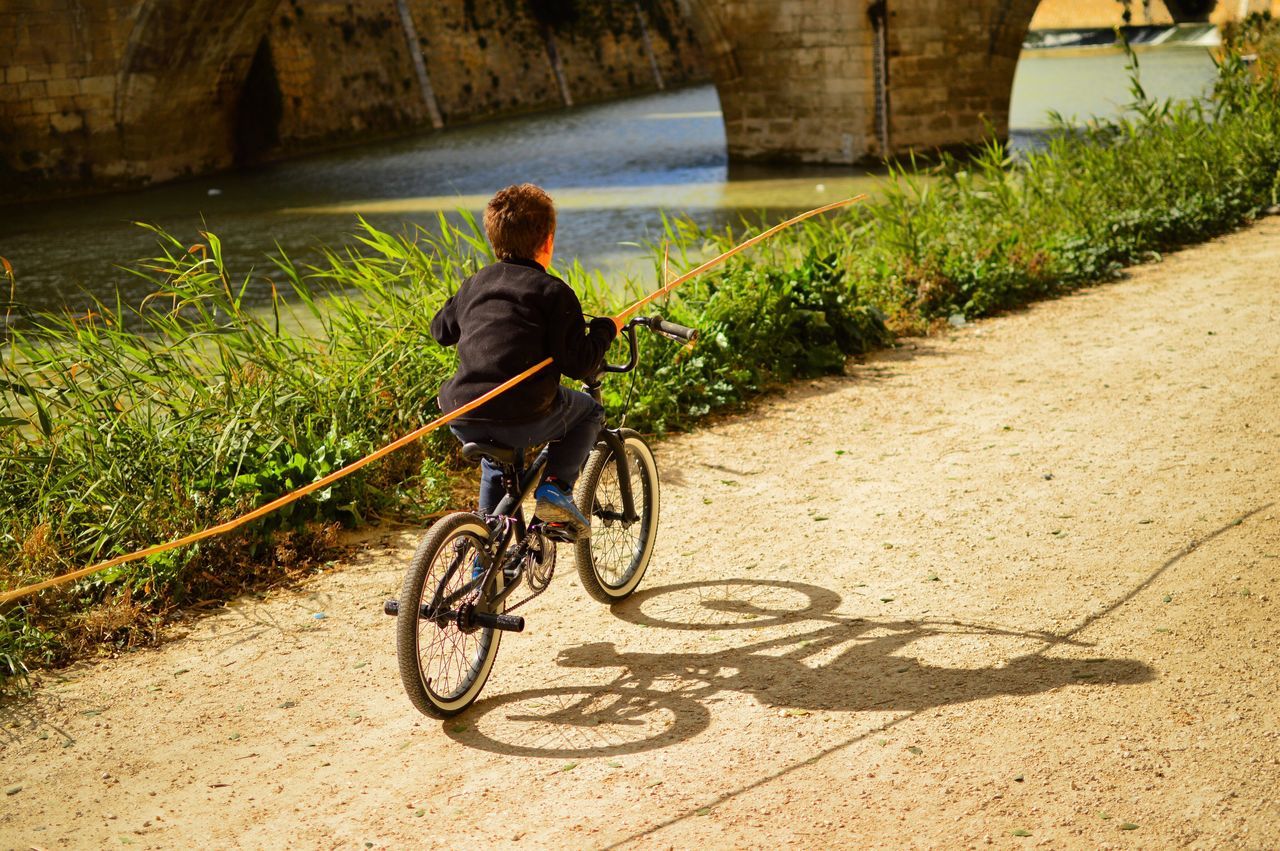 bicycle, cycling, rear view, transportation, riding, sunlight, one person, outdoors, full length, adult, people, one woman only, real people, adults only, nature, day