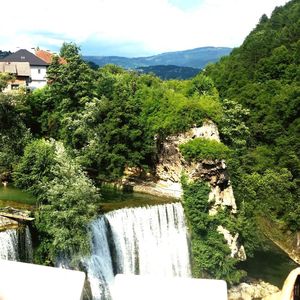 Scenic view of river with trees in background