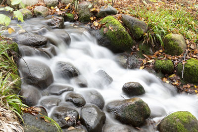 Stream flowing through rocks in forest