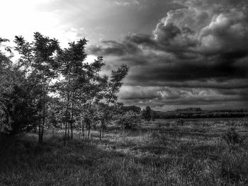 Scenic view of field against cloudy sky