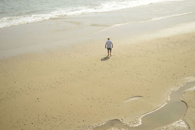 High angle view of man walking at beach on sunny day
