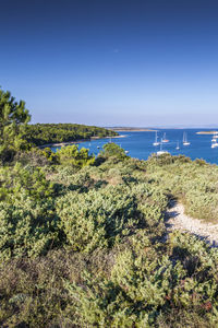 Scenic view of sea against clear blue sky