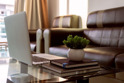 Potted plant with books and laptop on table at home