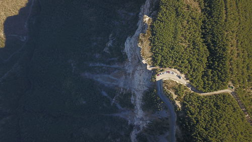 High angle view of sea and trees