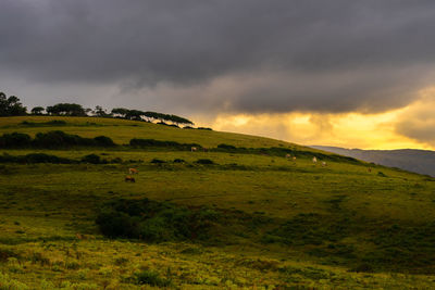 Scenic view of landscape against sky during sunset