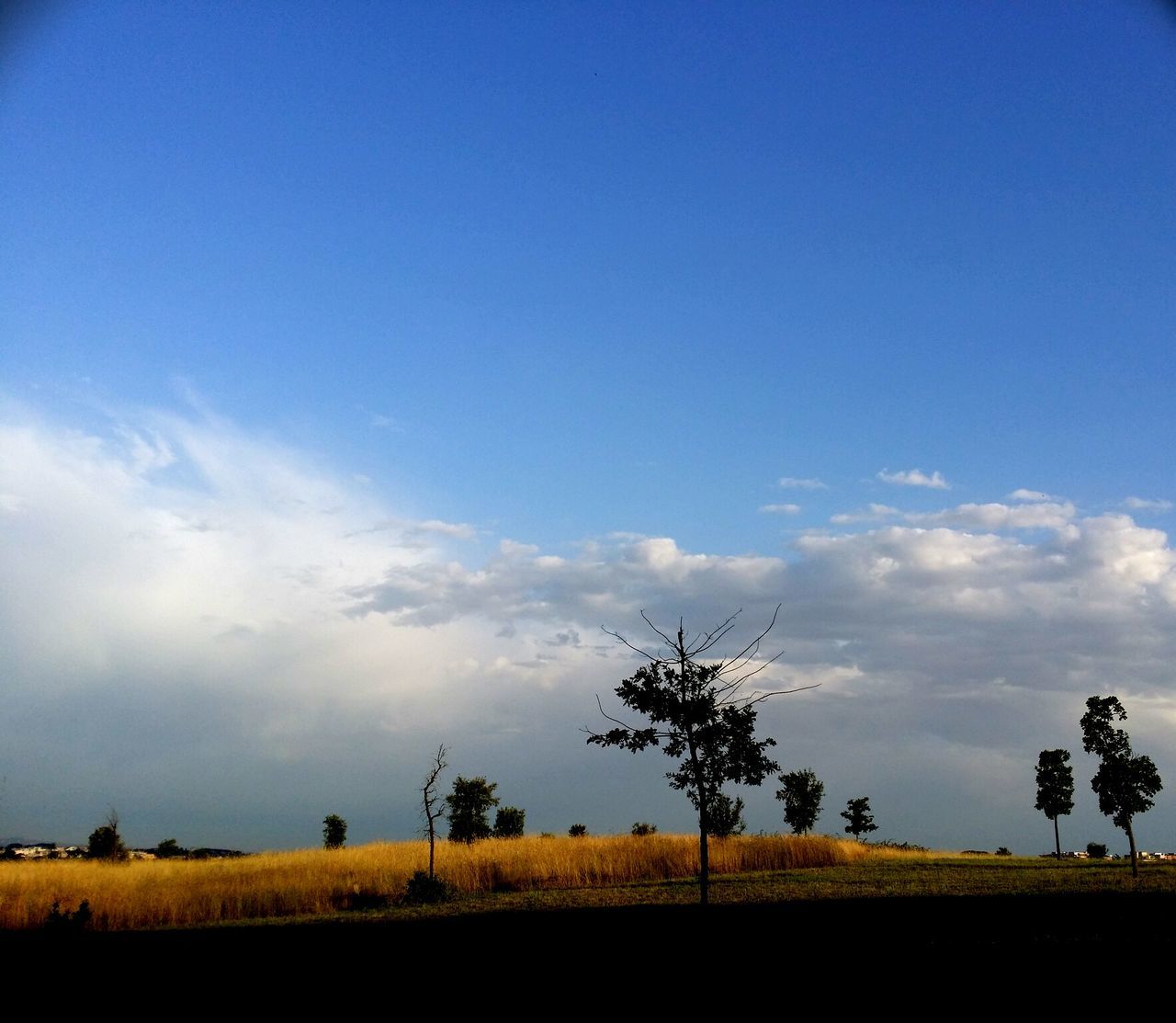 sky, tranquility, landscape, tranquil scene, tree, field, scenics, beauty in nature, nature, blue, rural scene, growth, cloud - sky, silhouette, cloud, horizon over land, idyllic, copy space, agriculture, sunset