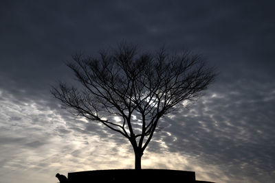 Low angle view of silhouette bare tree against sky at sunset
