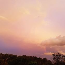 Low angle view of trees against sky during sunset