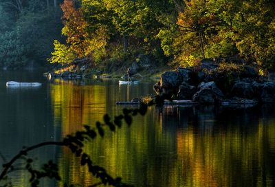 Trees by lake during autumn