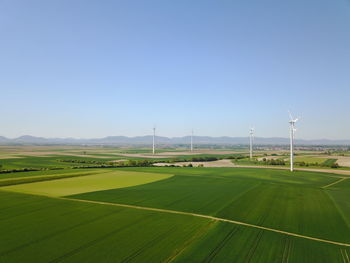 Scenic view of field against clear sky