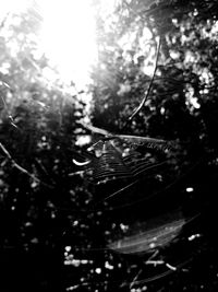 Close-up of raindrops on glass