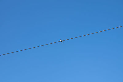 Low angle view of birds perching on cable