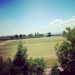 Scenic view of field against cloudy sky