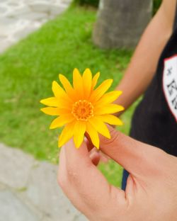 Close-up of hand holding flower