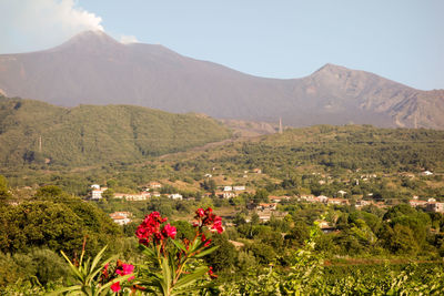 Scenic view of mountains