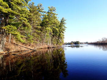 Scenic view of lake against clear blue sky