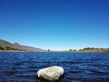 Scenic view of sea against clear blue sky