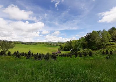 Scenic view of field against sky