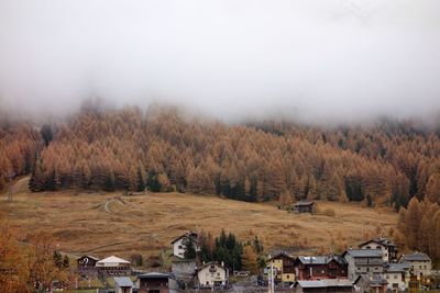 Trees and houses on field against sky