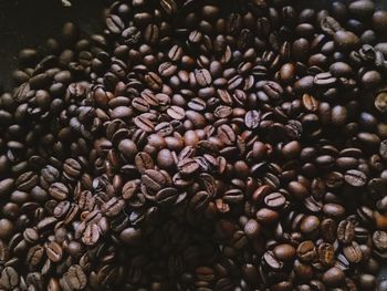 Full frame shot of coffee beans
