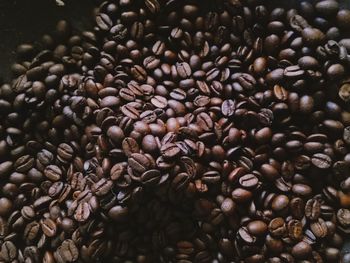 Full frame shot of coffee beans