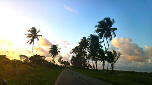 Road passing through landscape