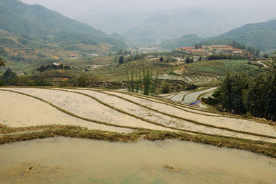 Rice terraces and hills in sapa, vietnam. rural green vietnamese landscape in spring. south east