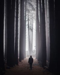 Rear view full length of woman walking amidst trees at forest