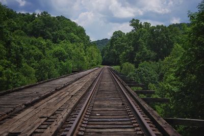 Railroad track against trees